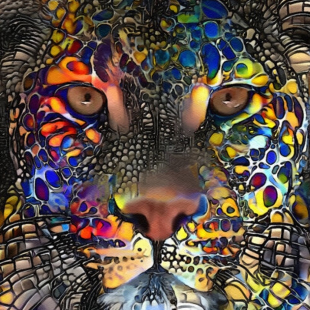 🦋BellaMia By Design Boutique🦋
A Day Just for YOU! Personalized Shopping🩷